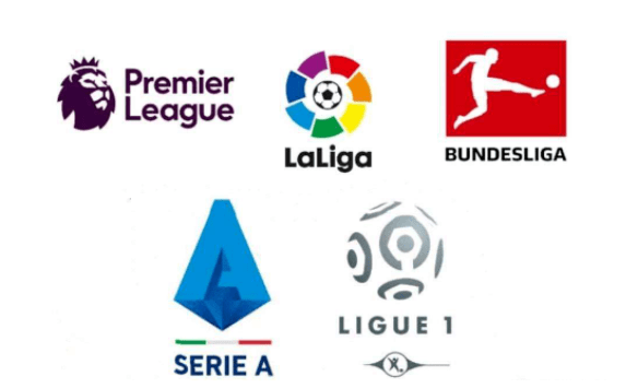 年系统化培 年系统化培