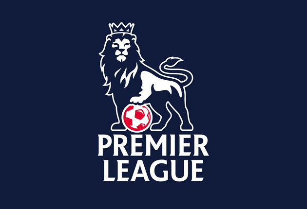 球迷的支持 球迷的支持